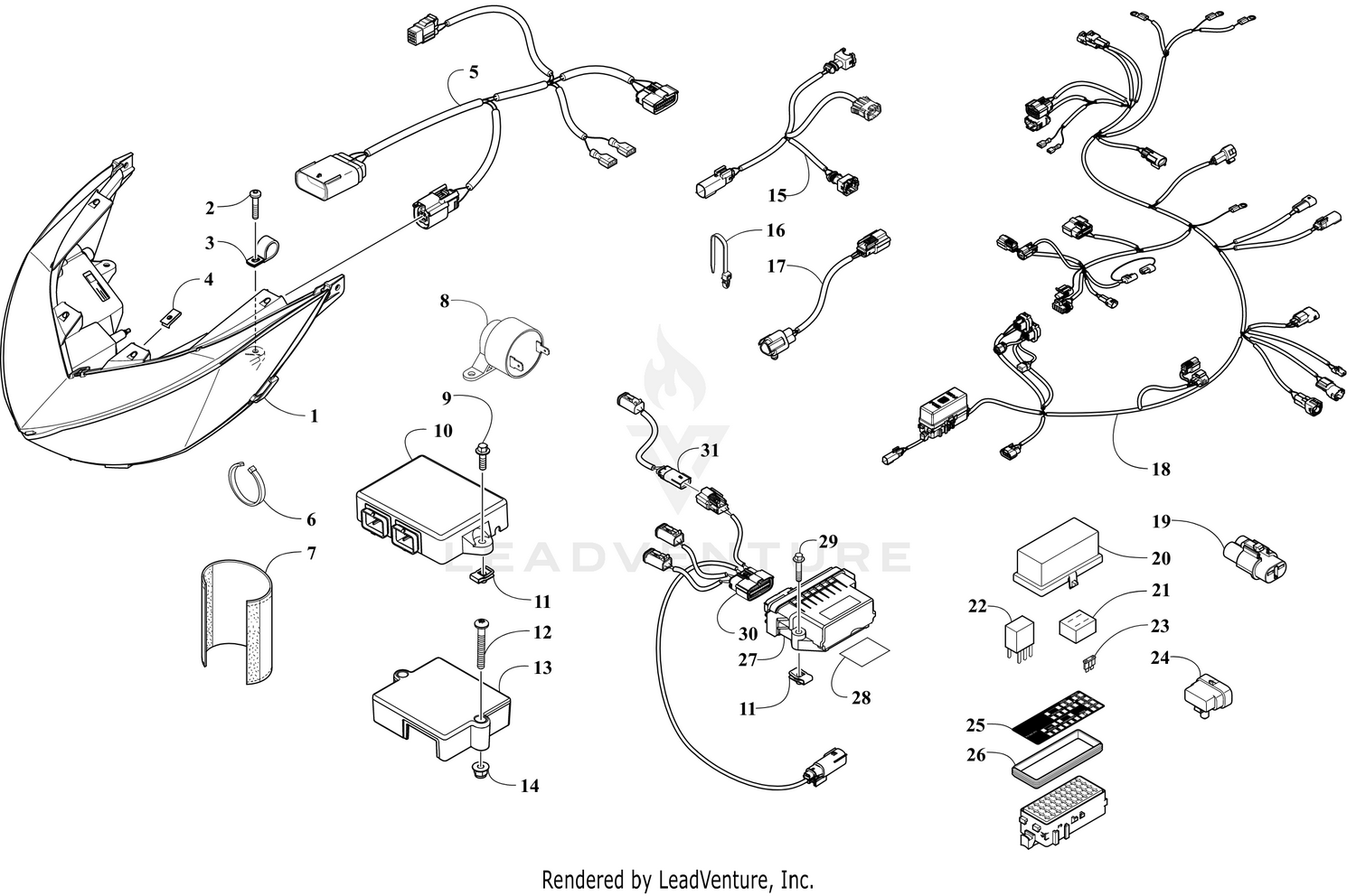 HEADLIGHT AND WIRING ASSEMBLIES [110055]
