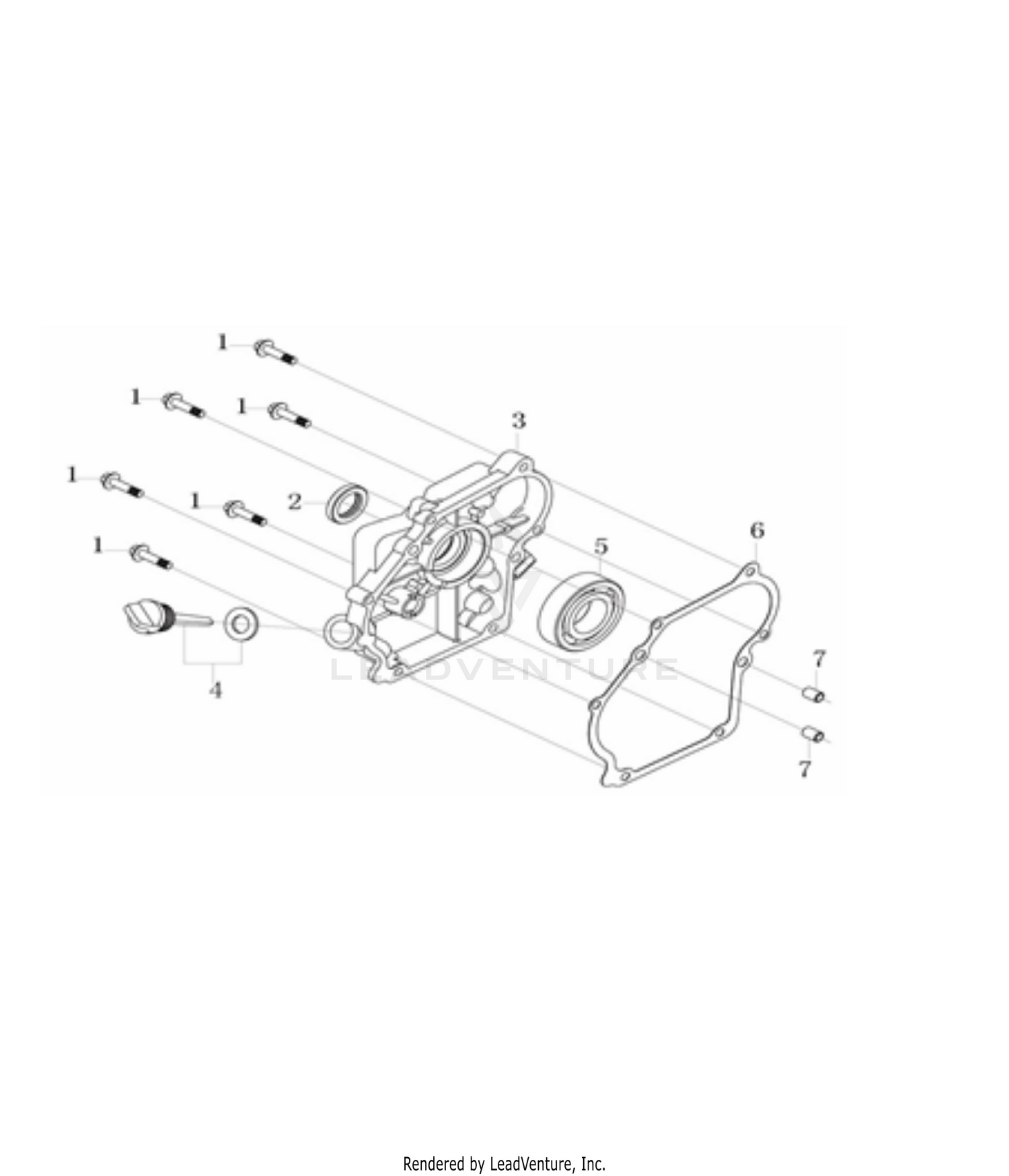 Crankcase Cover