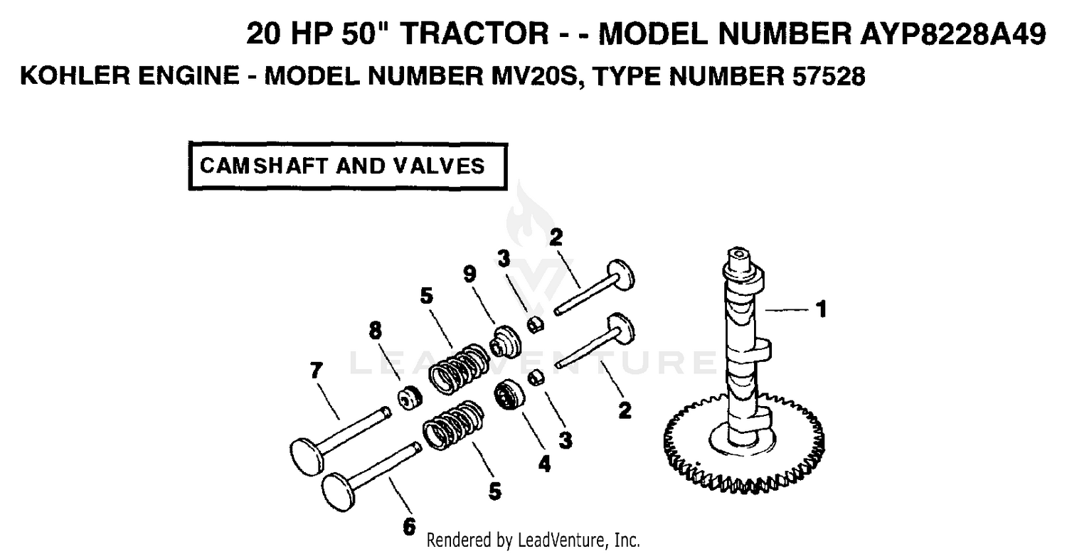 Camshaft And Valves