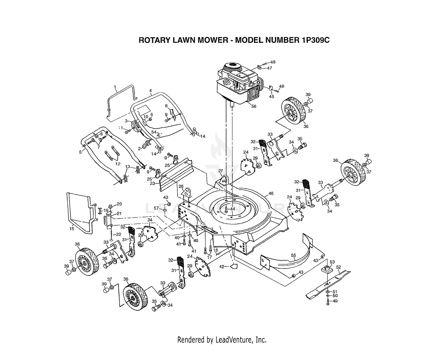ROTARY LAWN MOWER