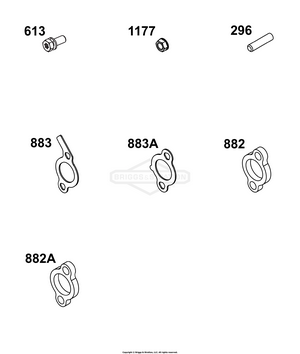 303775-0119-01 Briggs and Stratton Engine | PartsWarehouse