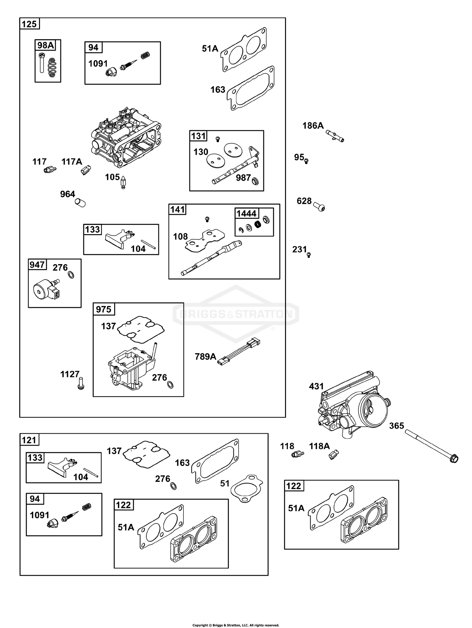 Carburetor and Fuel Supply Group