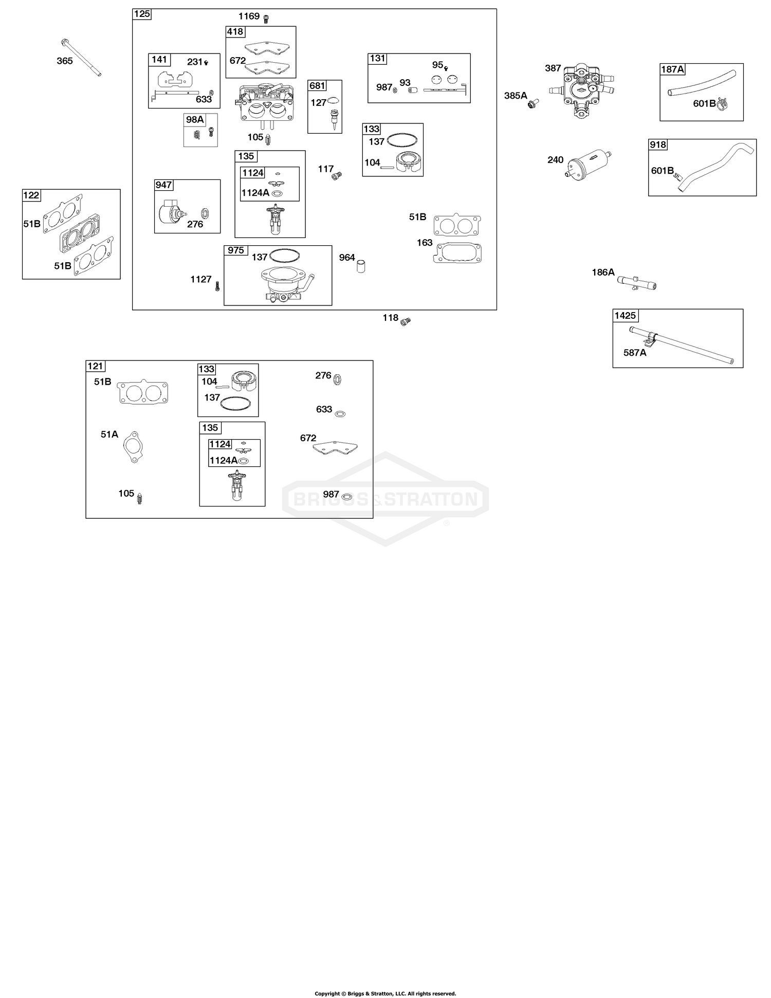 Carburetor and Fuel Supply Group