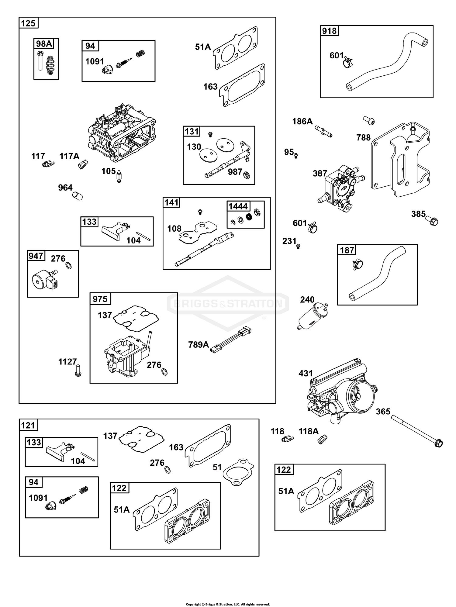 Carburetor and Fuel Supply Group