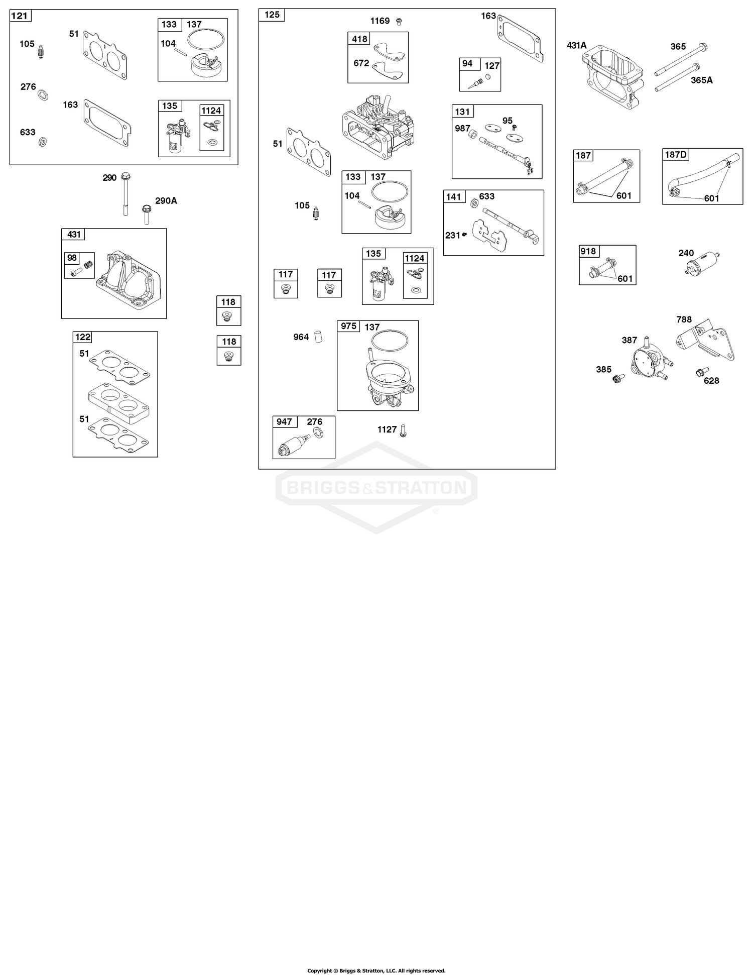 Carburetor and Fuel Supply Group