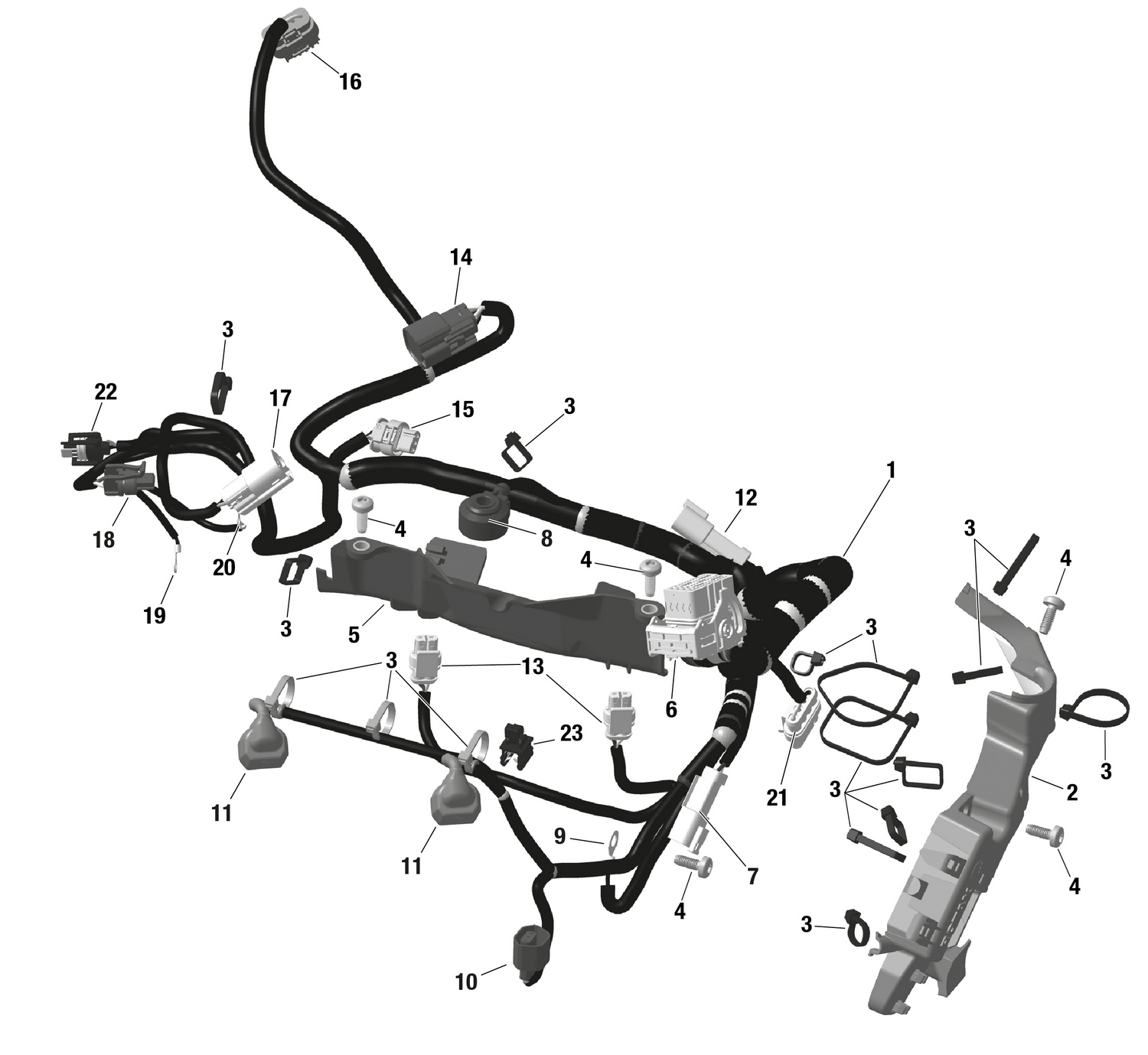 01- ROTAX - Engine Harness And Electronic Module - NA