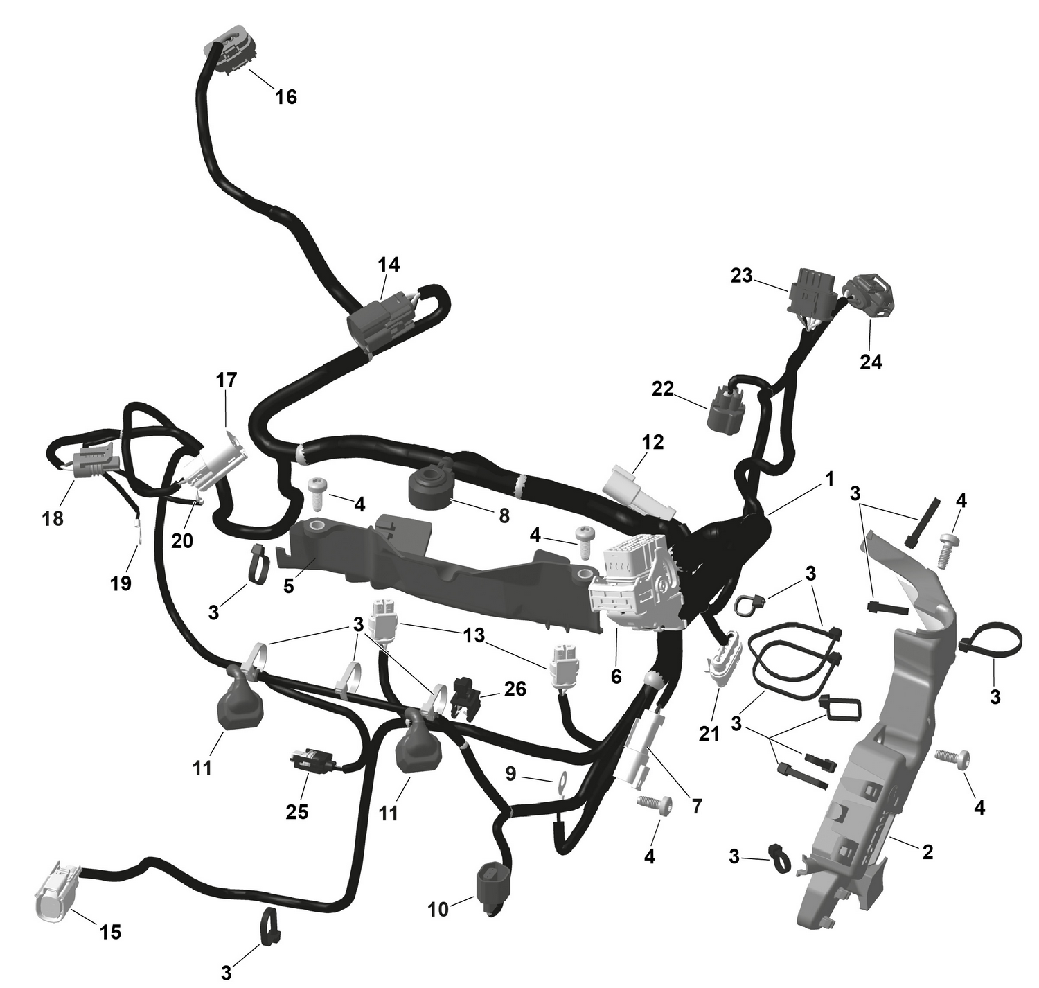 01- ROTAX - Engine Harness And Electronic Module