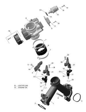 01- Rotax - Air Intake Manifold And Throttle Body Version 1 Schematic