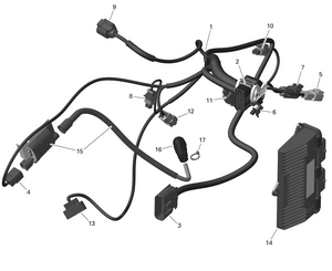 01- Rotax - Engine Harness And Electronic Module - 4 Schematic