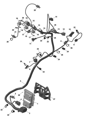 01- Rotax - Engine Harness And Electronic Module - Turbo Rr Schematic