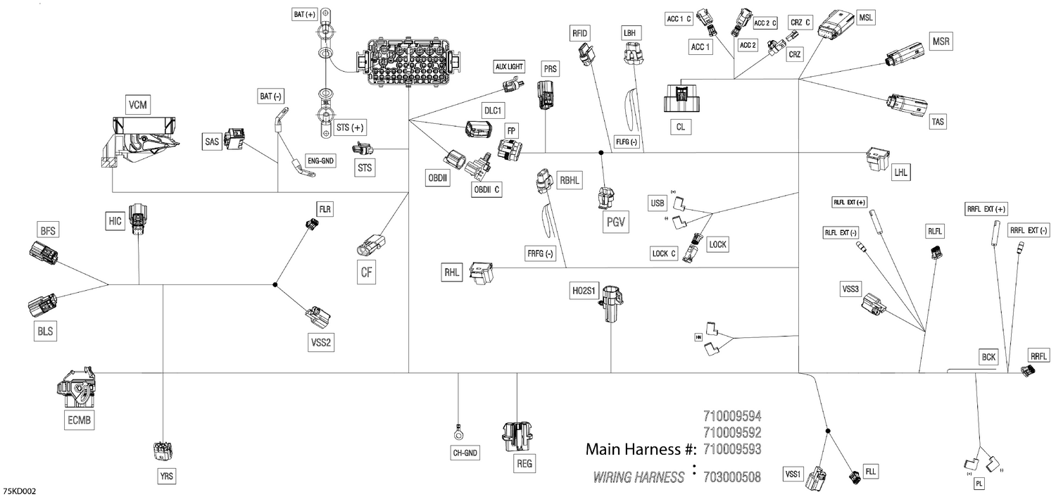 08- Electric - Main Harness - 710009592