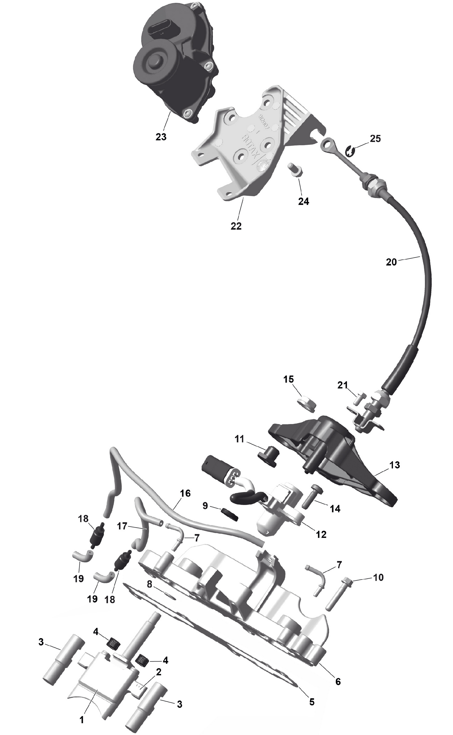 01- ROTAX - RAVE Valve