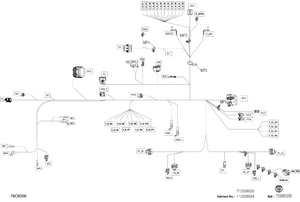08- Electric - Main Harness - 710008025 Schematic