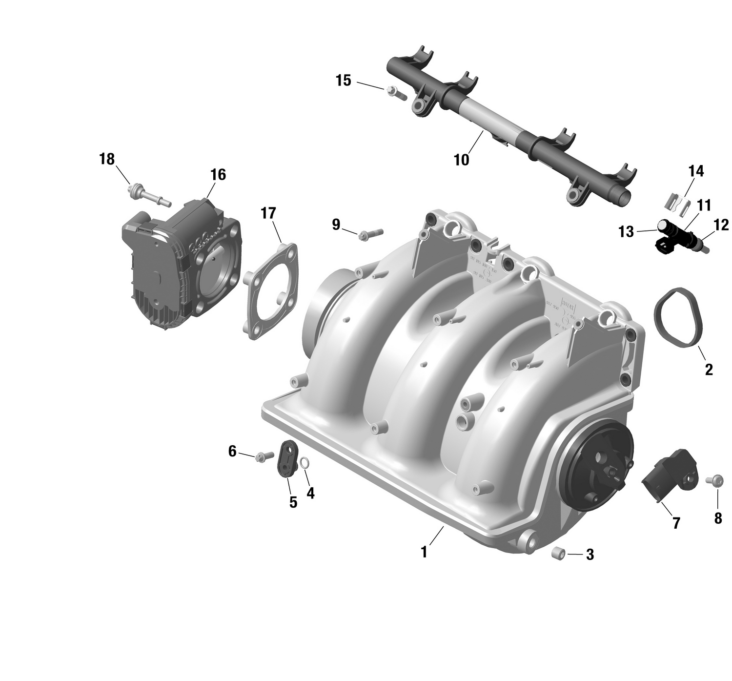 01- ROTAX - Air Intake Manifold And Throttle Body