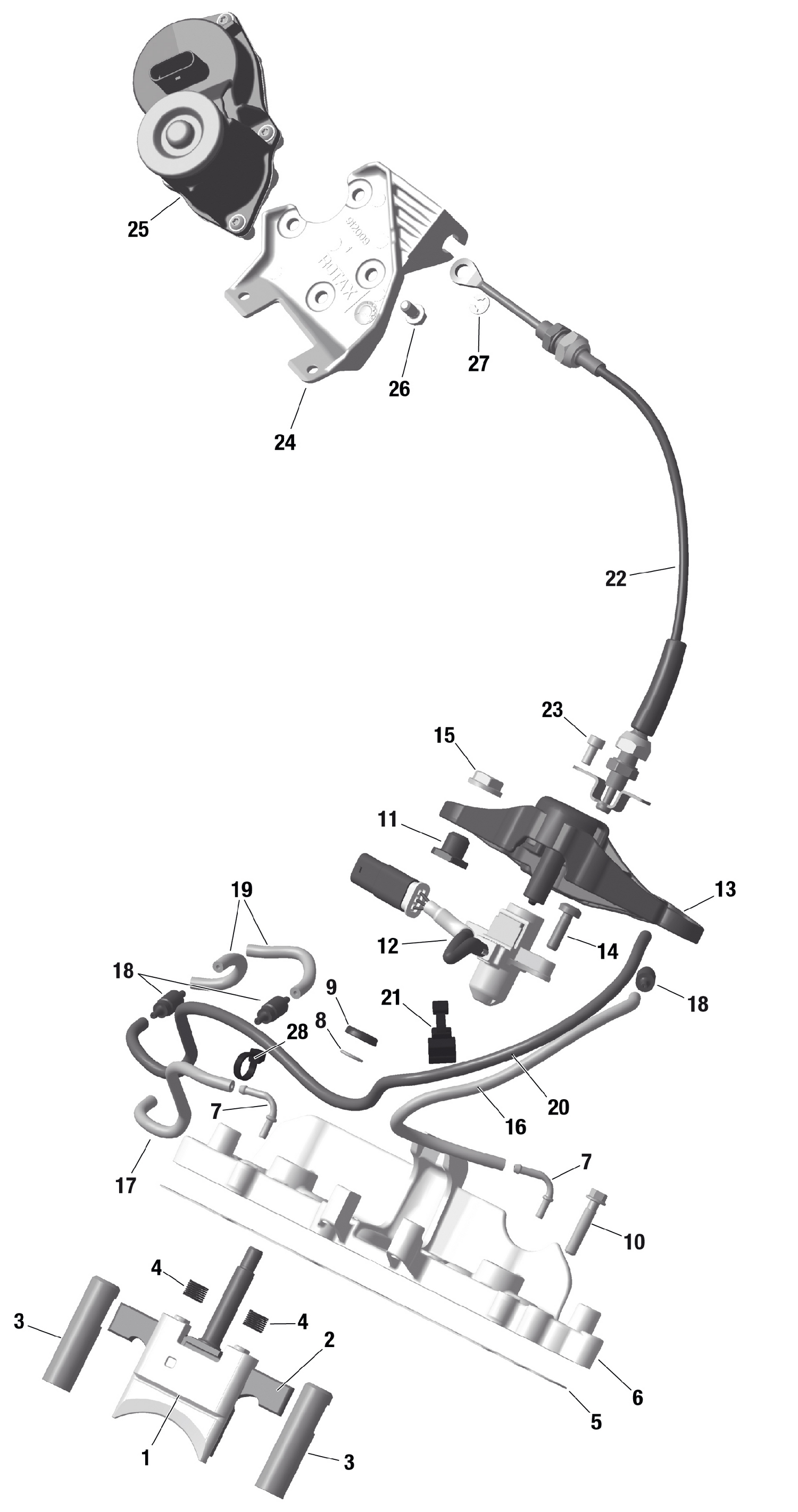 01- ROTAX - RAVE Valve