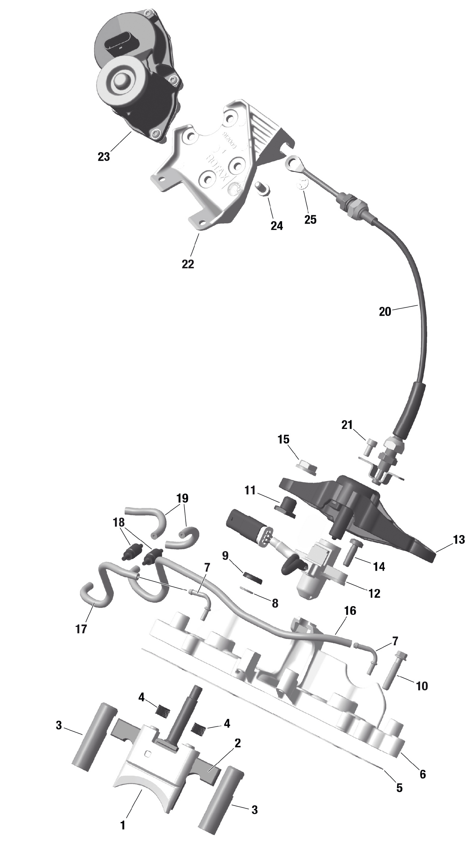 01- ROTAX - RAVE Valve