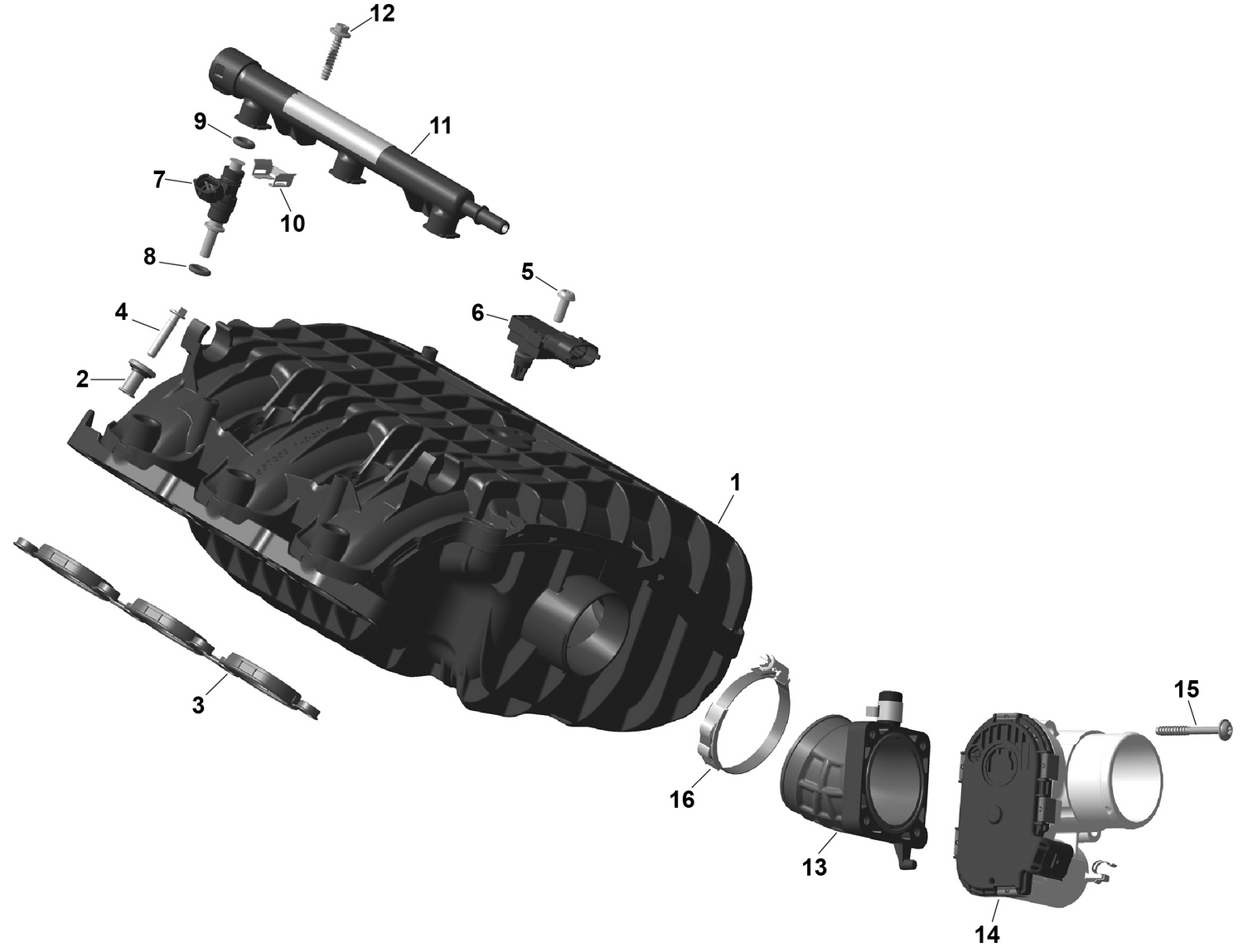 01- ROTAX - Air Intake Manifold And Throttle Body