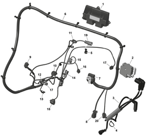 01- Rotax - Engine Harness And Electronic Module Schematic