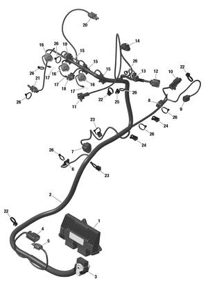 01- Rotax - Engine Harness And Electronic Module - Turbo Schematic