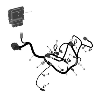 01- Rotax - Engine Harness And Electronic Module Schematic
