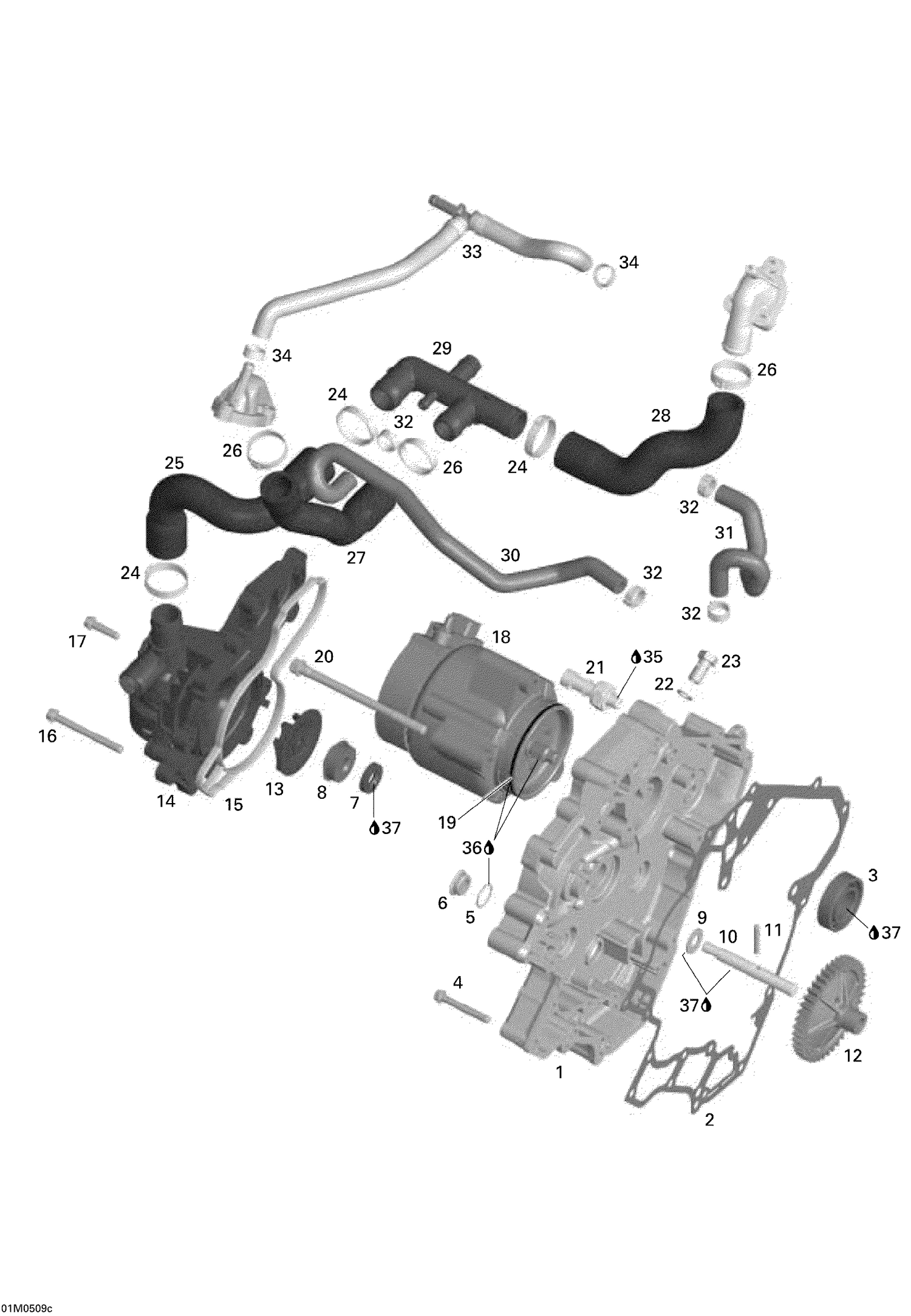 01- Waterpump, Alternator and Ignition Cover