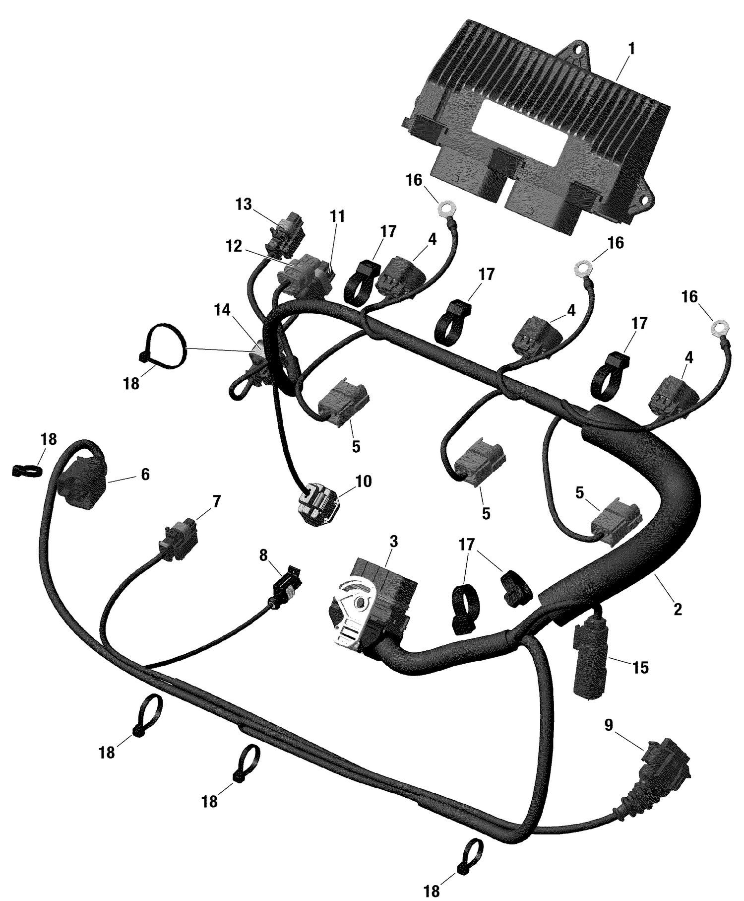 10- Engine Harness And Electronic Module