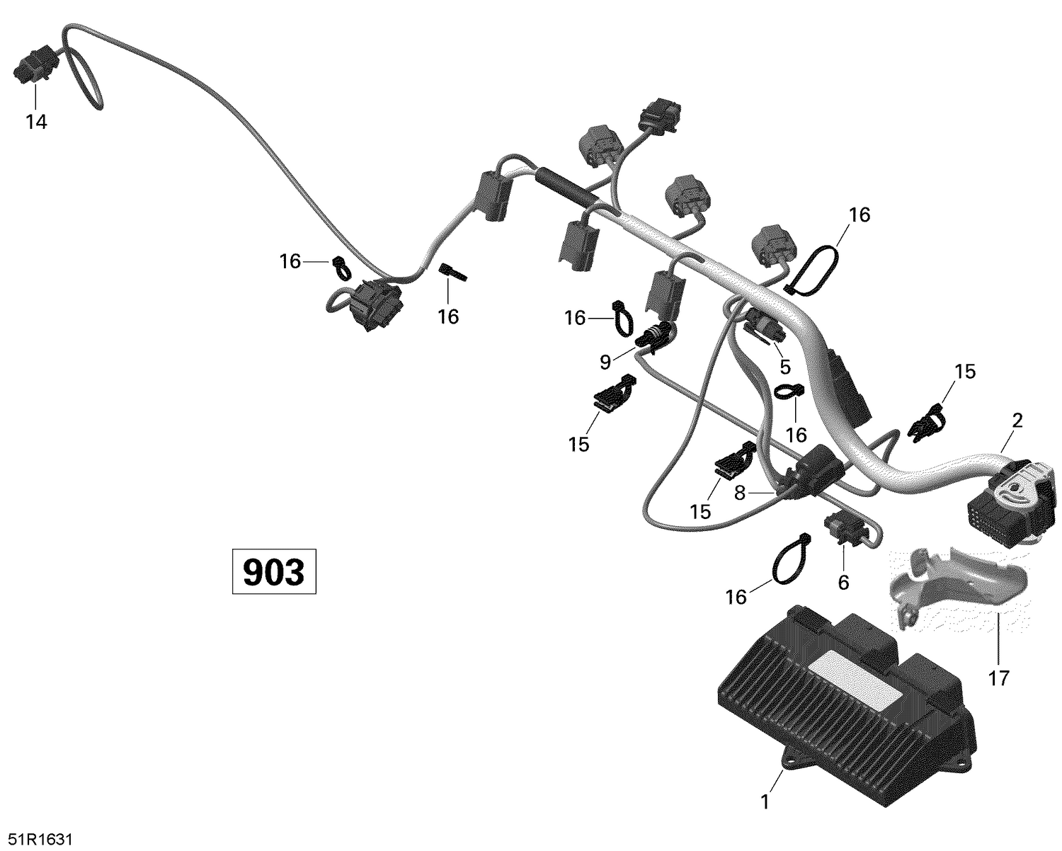 10- Engine Harness and Electronic Module - 900 HO ACE Spark