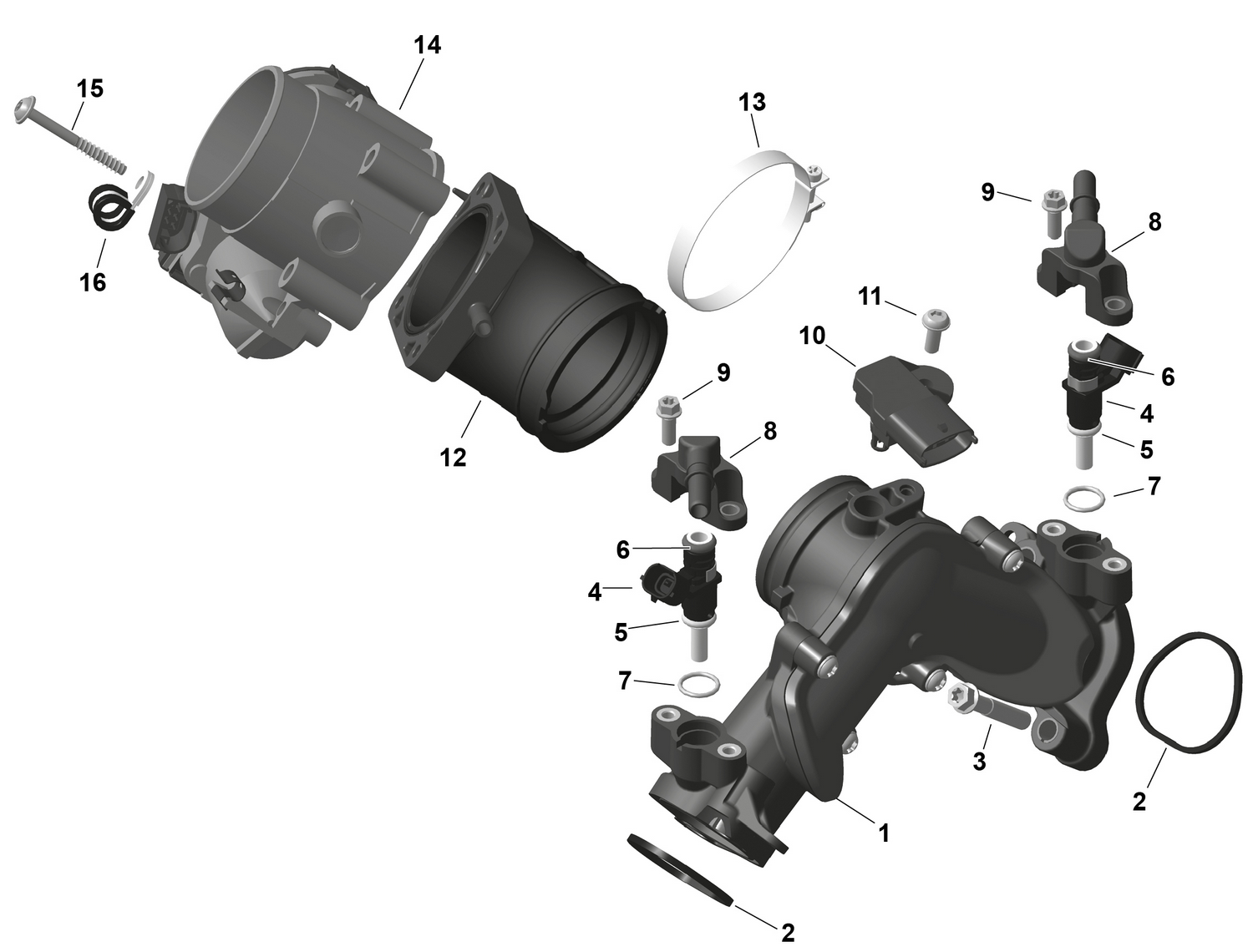 01- ROTAX - Air Intake Manifold And Throttle Body