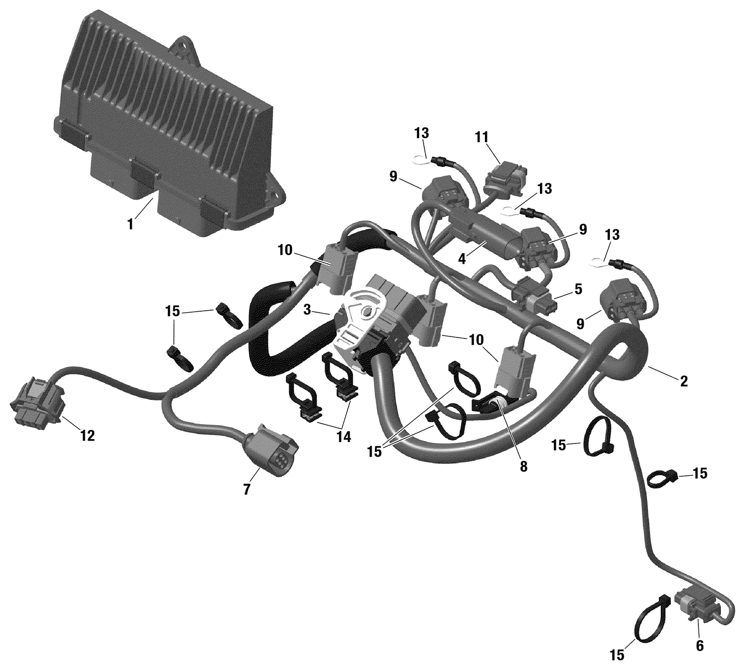 10- Electric - Engine Harness And Electronic Module - 900 ACE