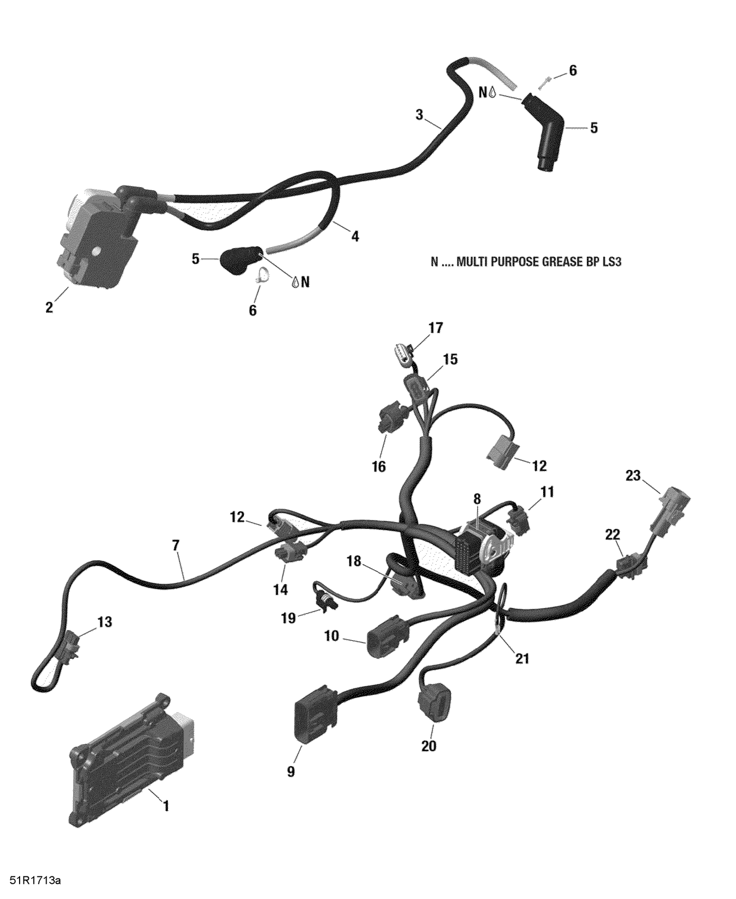 10- Engine Harness and Electronic Module - 1000R EFI (Renegade)_2