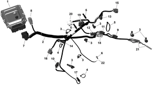 01- Rotax - Engine Harness And Electronic Module Schematic