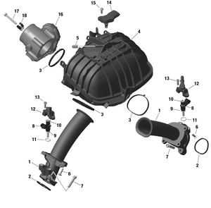 01- Rotax - Air Intake Manifold And Throttle Body Schematic
