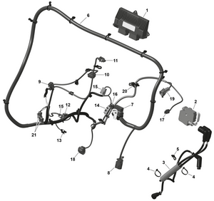 01- Rotax - Engine Harness And Electronic Module Schematic