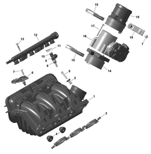 01- Rotax - Air Intake Manifold And Throttle Body Schematic
