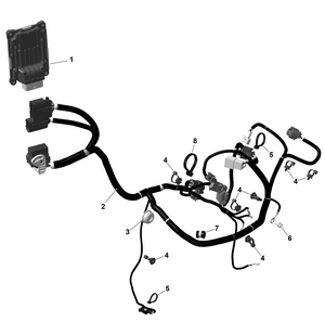 01- Rotax - Engine Harness And Electronic Module Schematic
