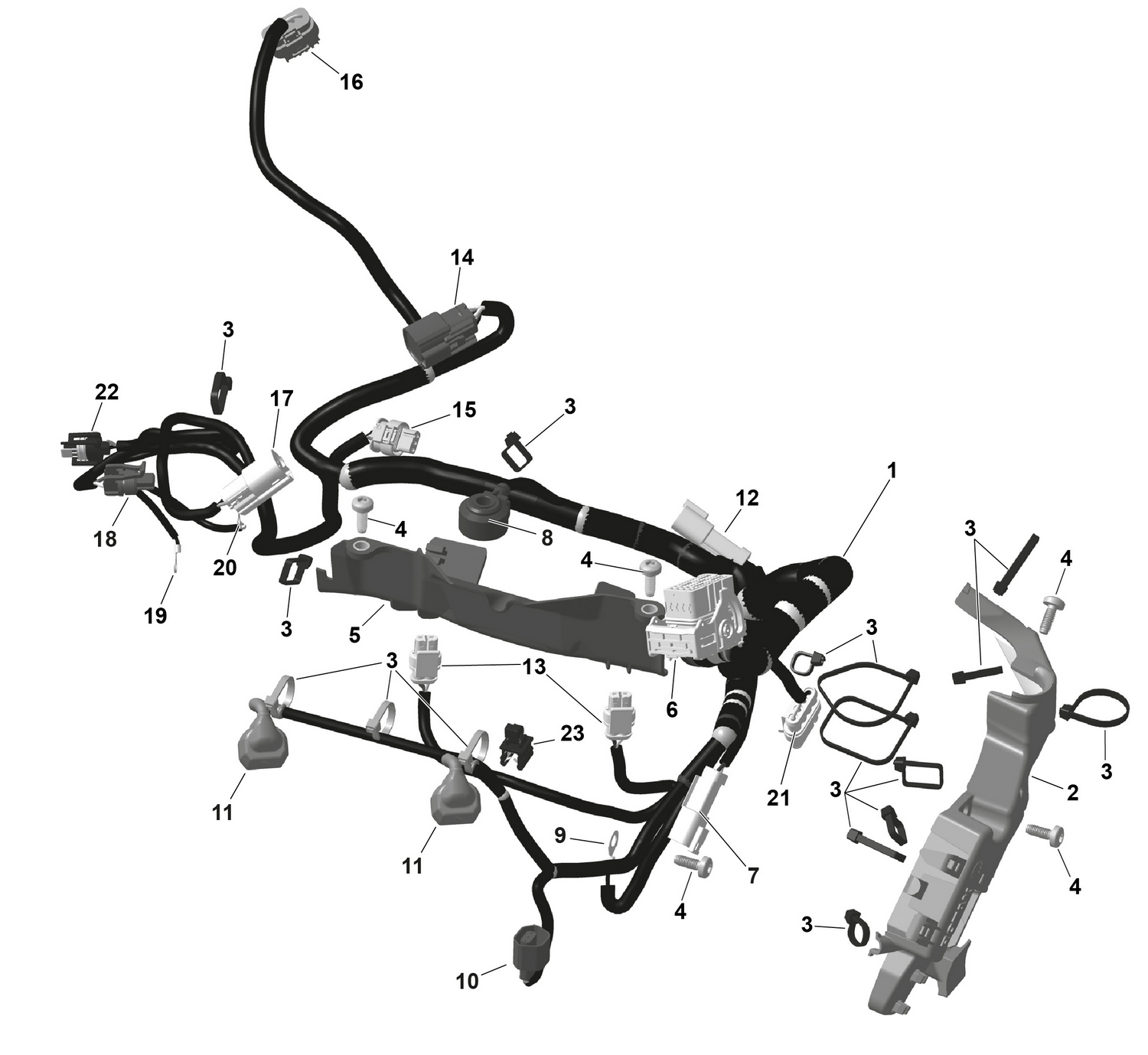 01- ROTAX - Engine Harness And Electronic Module