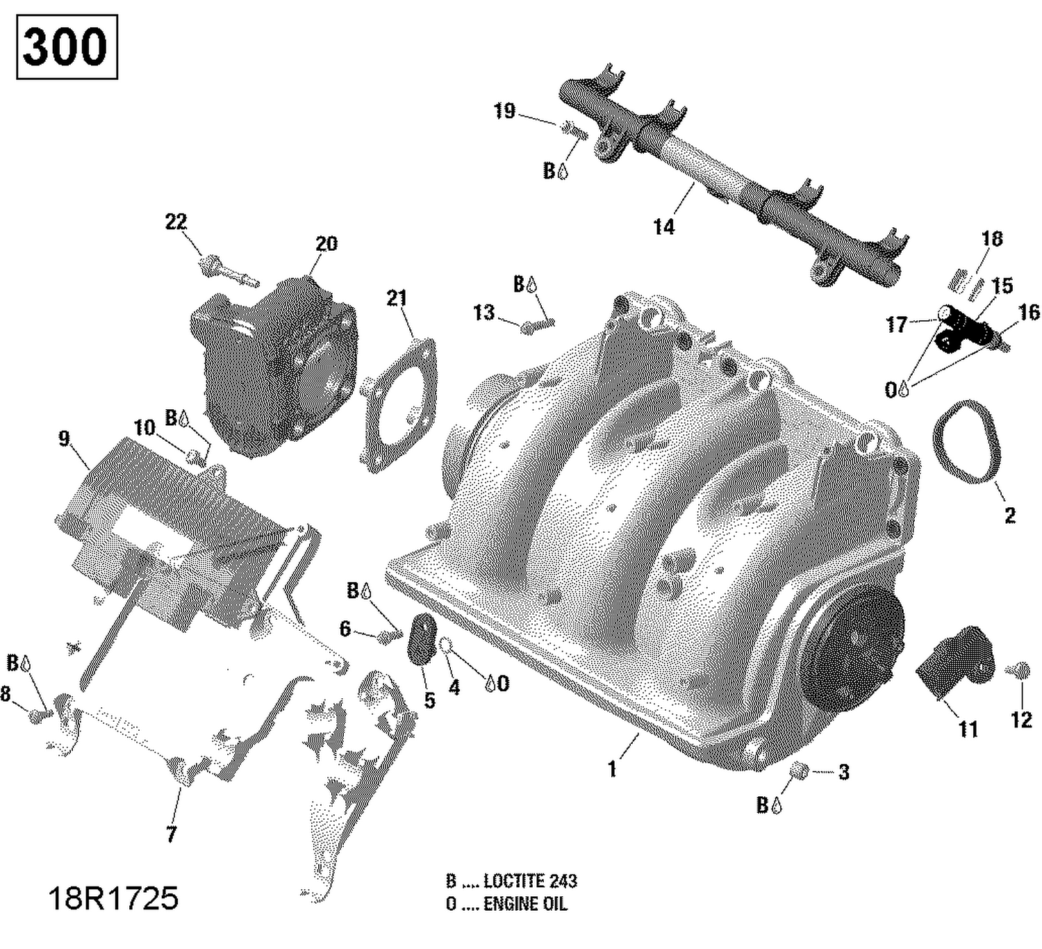 02- Air Intake Manifold And Throttle Body - 300