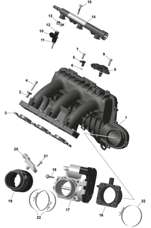 01- Rotax - Air Intake Manifold And Throttle Body Schematic