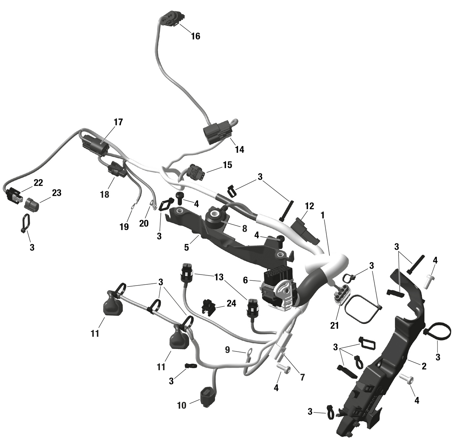 01- ROTAX - Engine Harness And Electronic Module - DSHOT