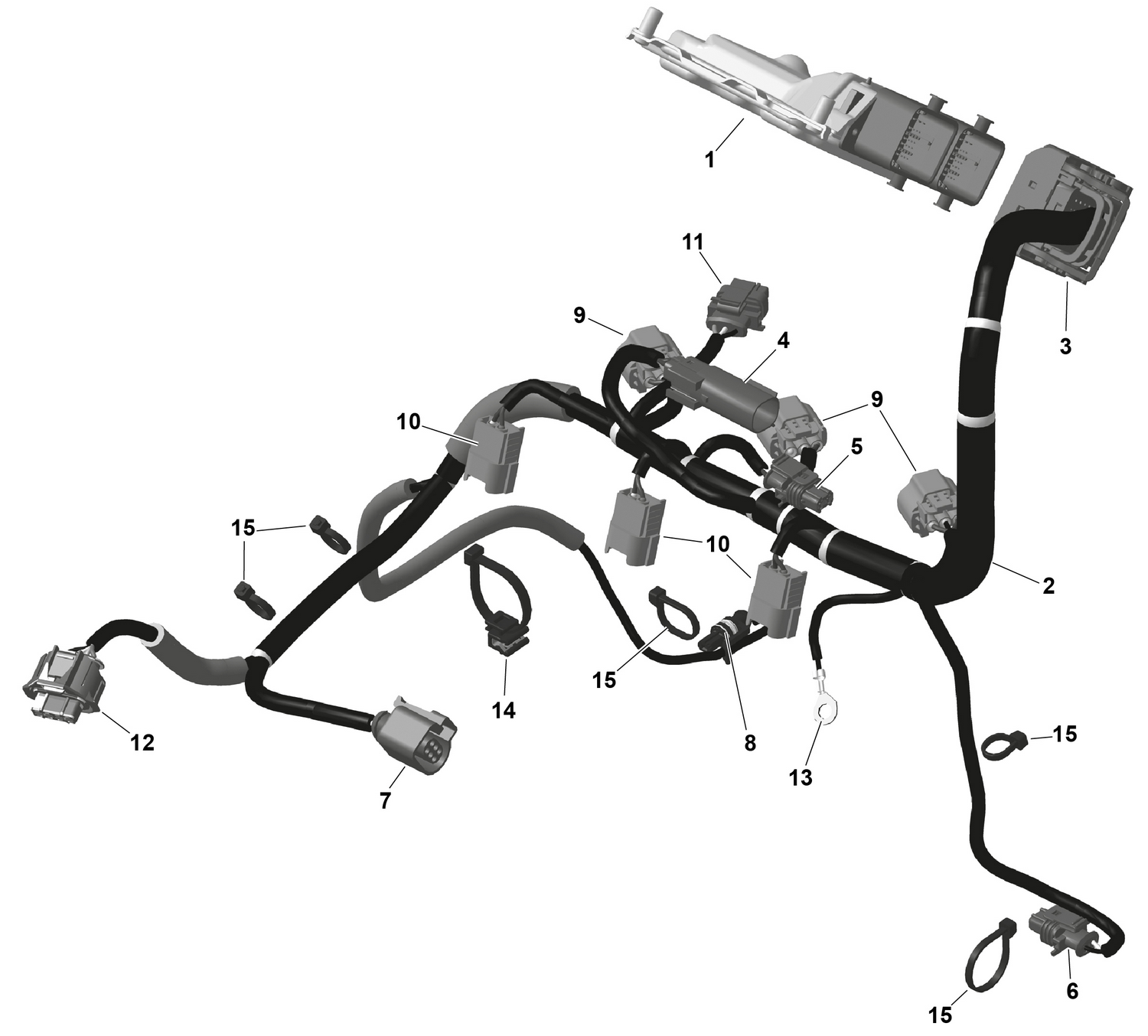 01- ROTAX - Engine Harness And Electronic Module
