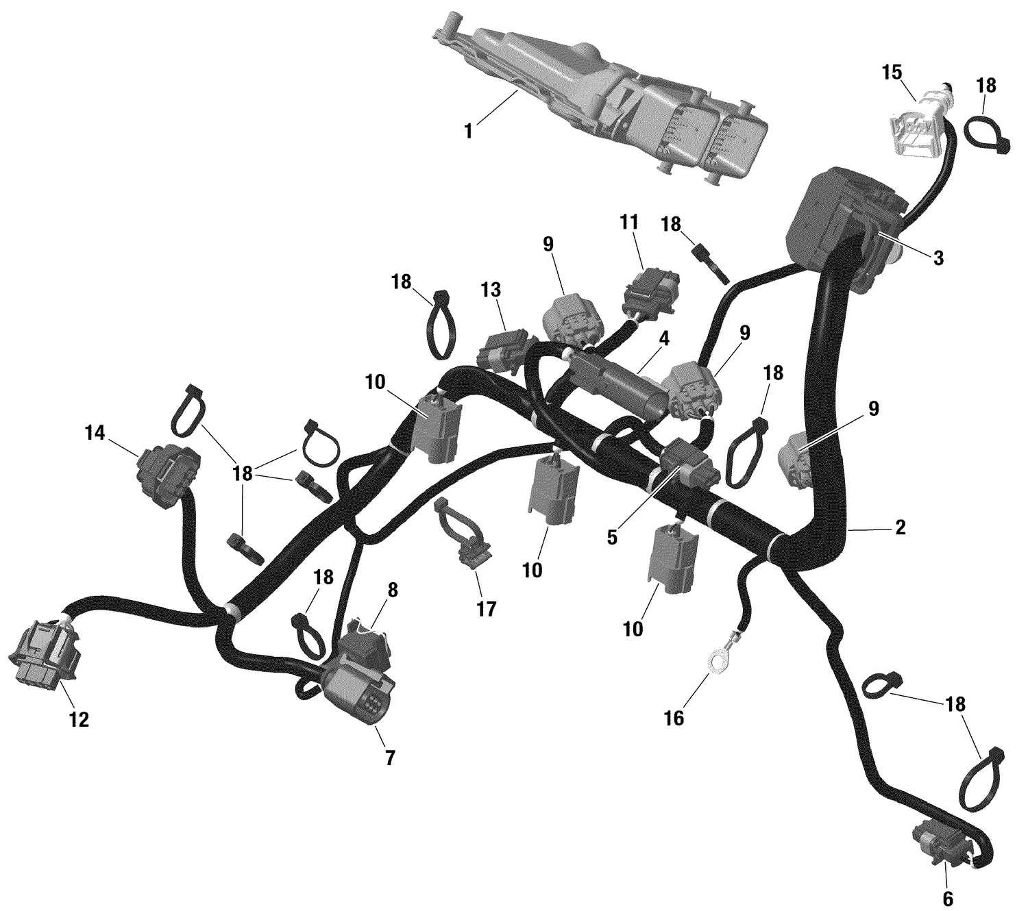 01- ROTAX - Engine Harness And Electronic Module - Turbo 150