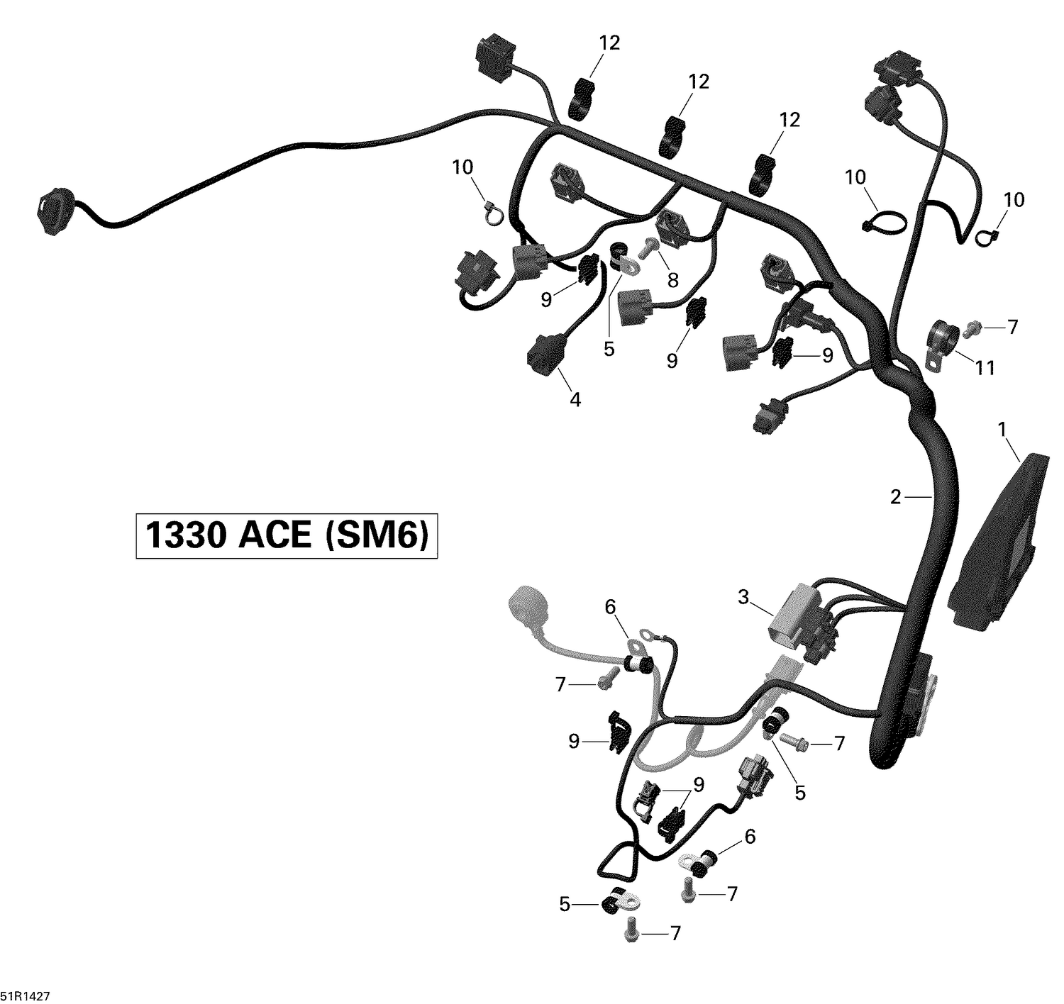 10- Engine Harness And Electronic Module