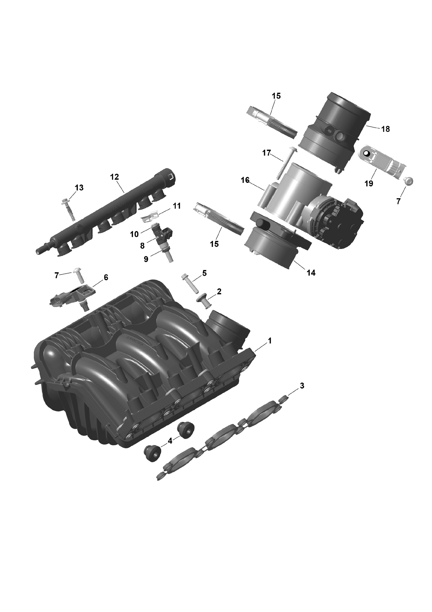01- ROTAX - Air Intake Manifold And Throttle Body