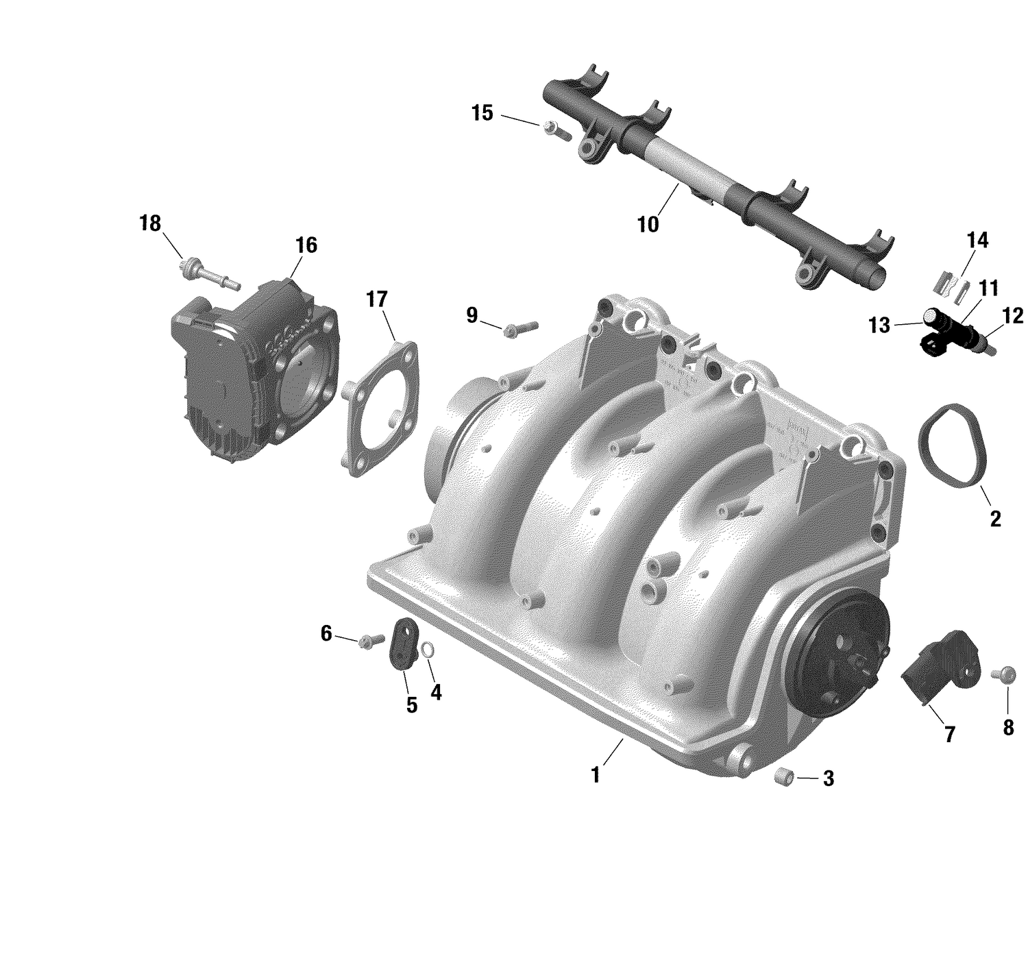 01- Rotax - Air Intake Manifold And Throttle Body