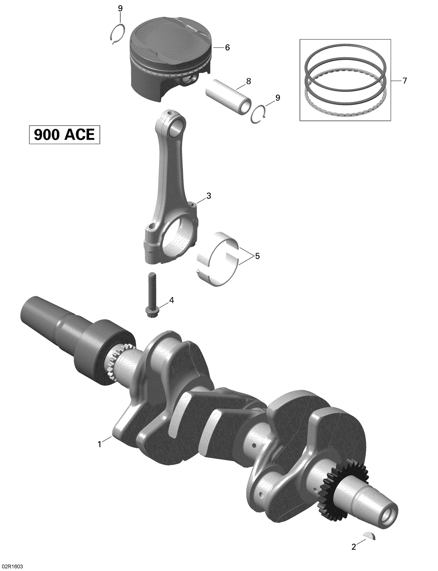 01- Crankshaft and Pistons - 900 ACE