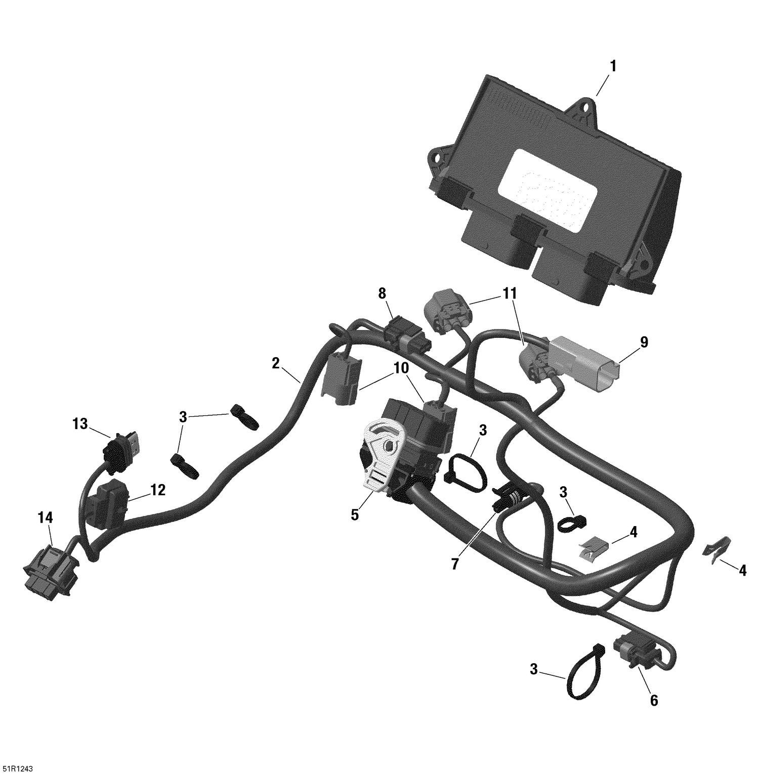 10- Engine Harness And Electronic Module