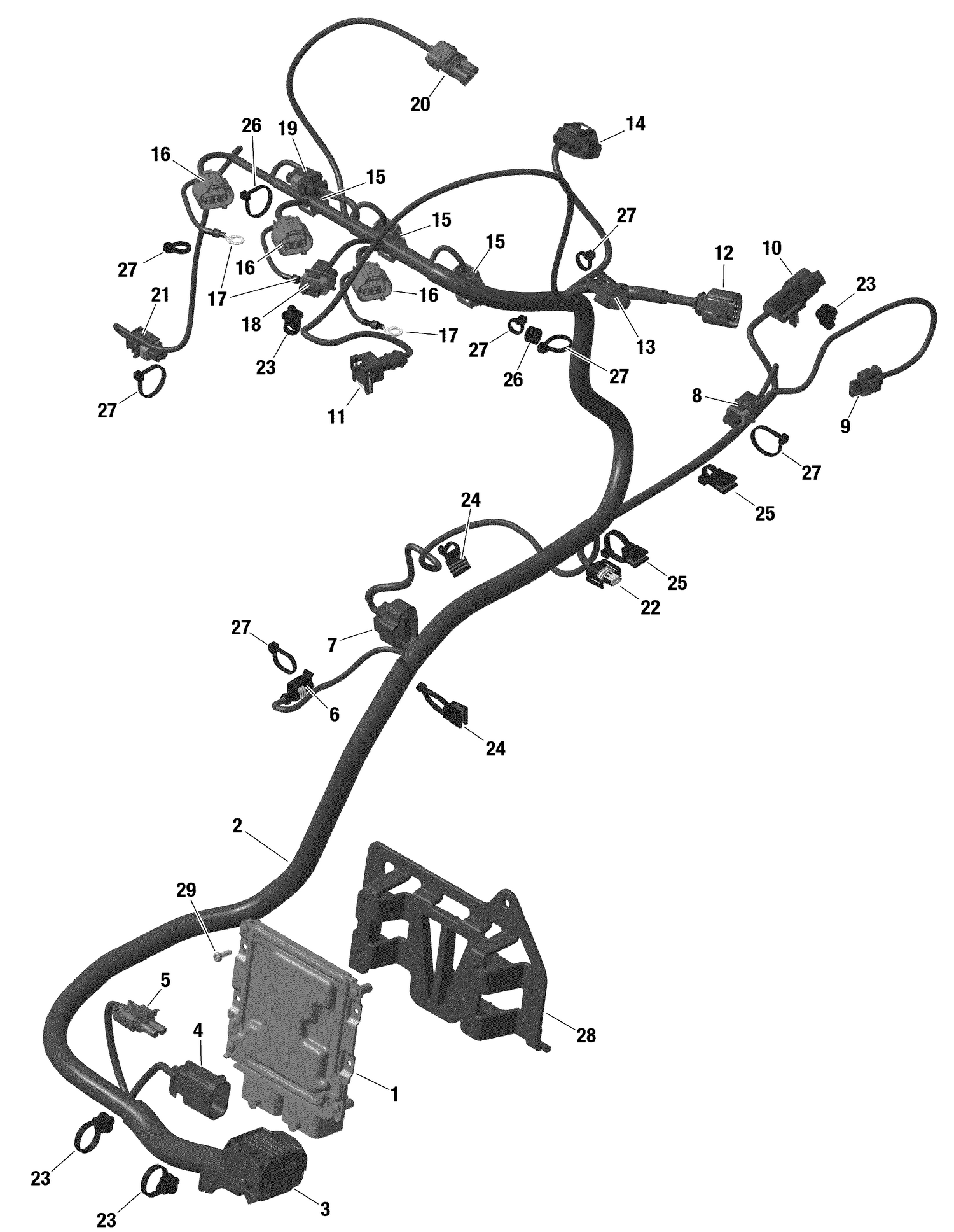 01- ROTAX - Engine Harness And Electronic Module - Turbo RR