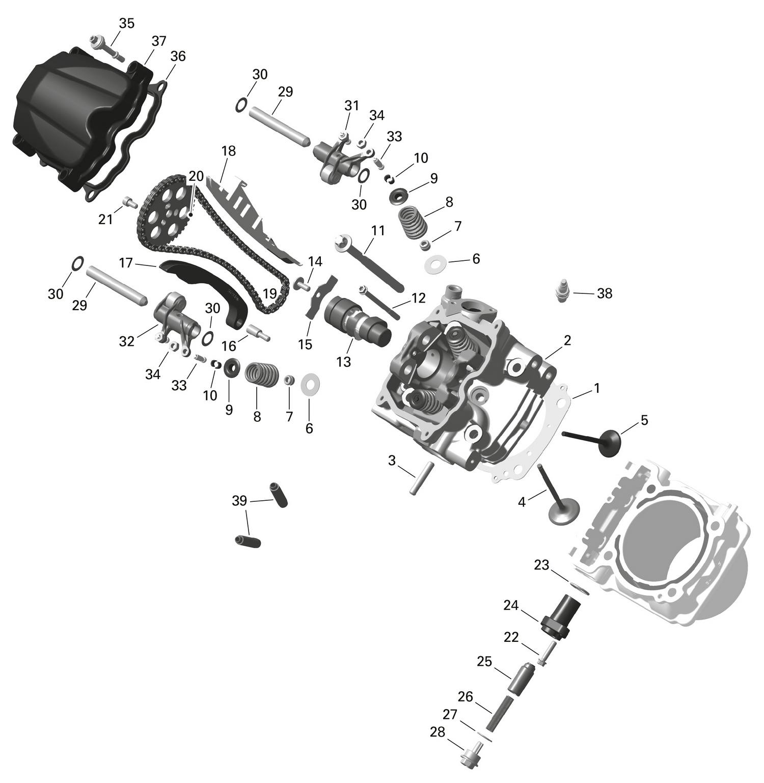 01- ROTAX - Cylinder Head