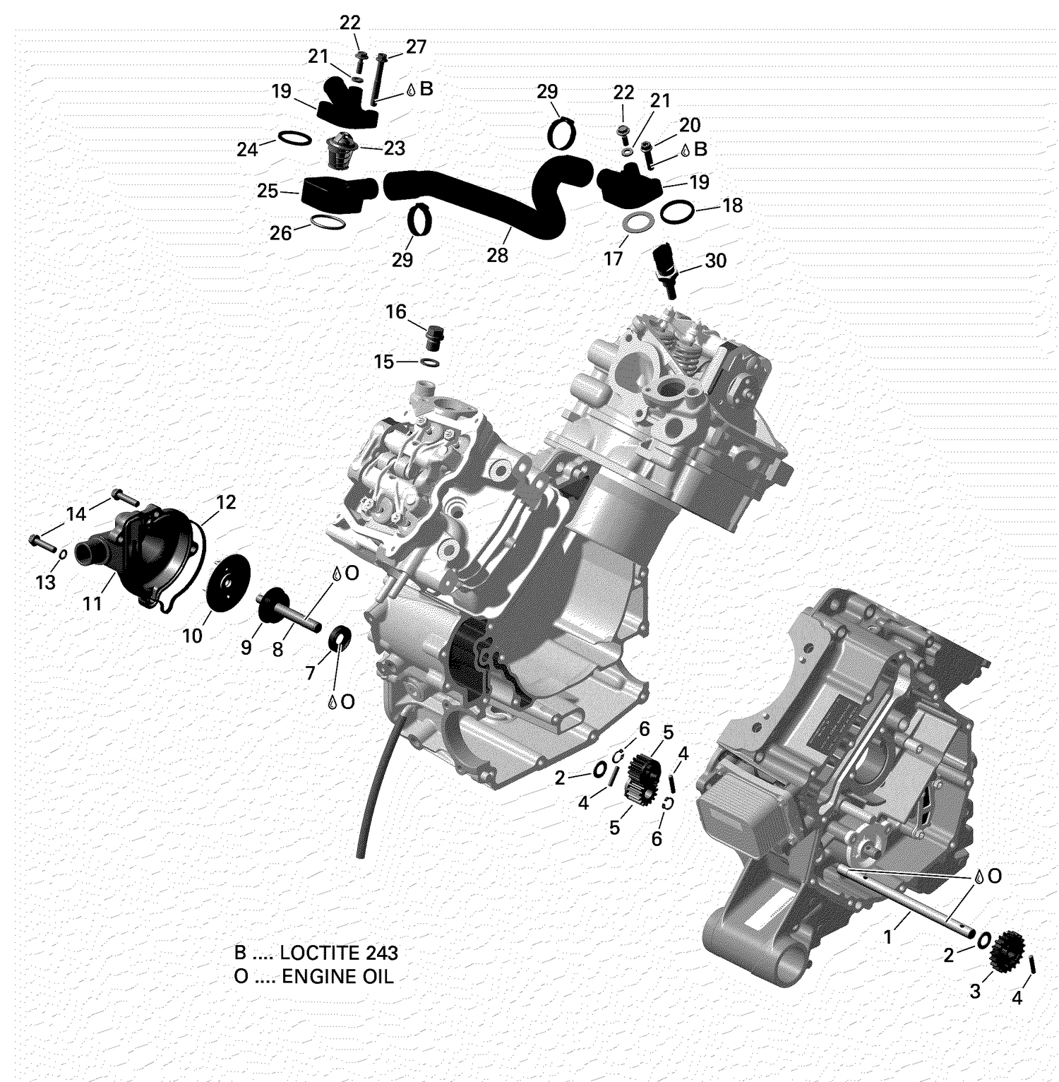 01- ROTAX - Engine Cooling