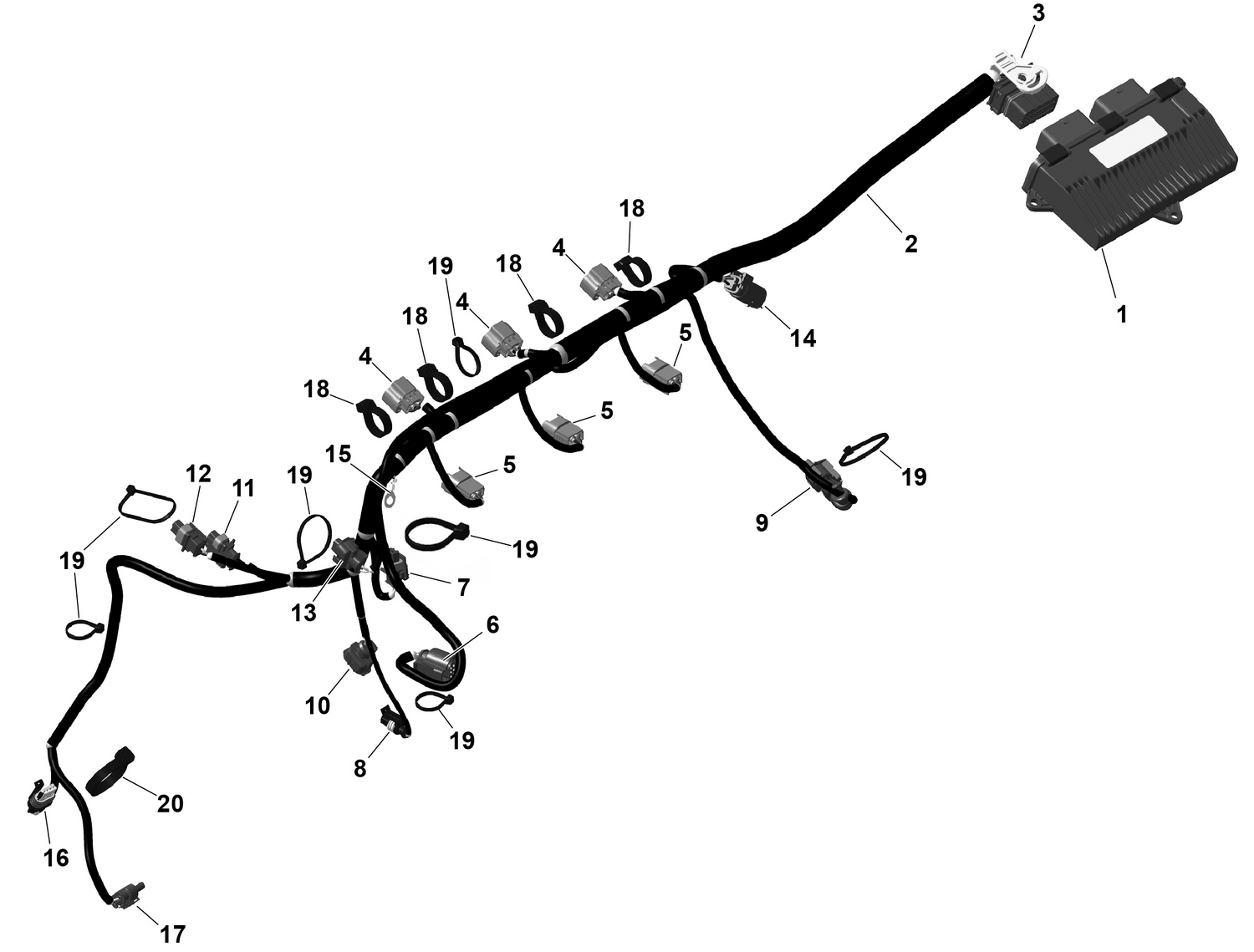 01- ROTAX - Engine Harness And Electronic Module